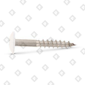 Art. 9086 A2 4,8X38 TX20  RAL 9010 - №2