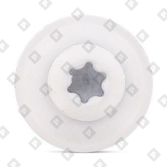 Art. 9087 A2 4,5X35 TX20 - RAL 9010 - №3